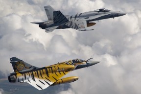 乐鱼体育在线登录-格鲁吉亚女篮在欧洲锦标赛中耀眼夺冠，迈出新体育步伐，格鲁吉亚赛程