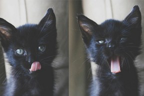 乐鱼体育app入口-中国男篮主力复出 球迷期待强势反弹，中国男篮五大主力回归