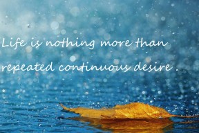 乐鱼体育下载-美国女队奖牌榜领跑，美国女队奖牌榜领跑是谁