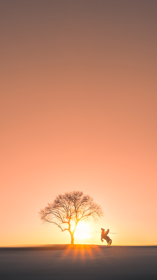 “快艇冲浪：马鞍山赛场极速挑战点燃观众热情”