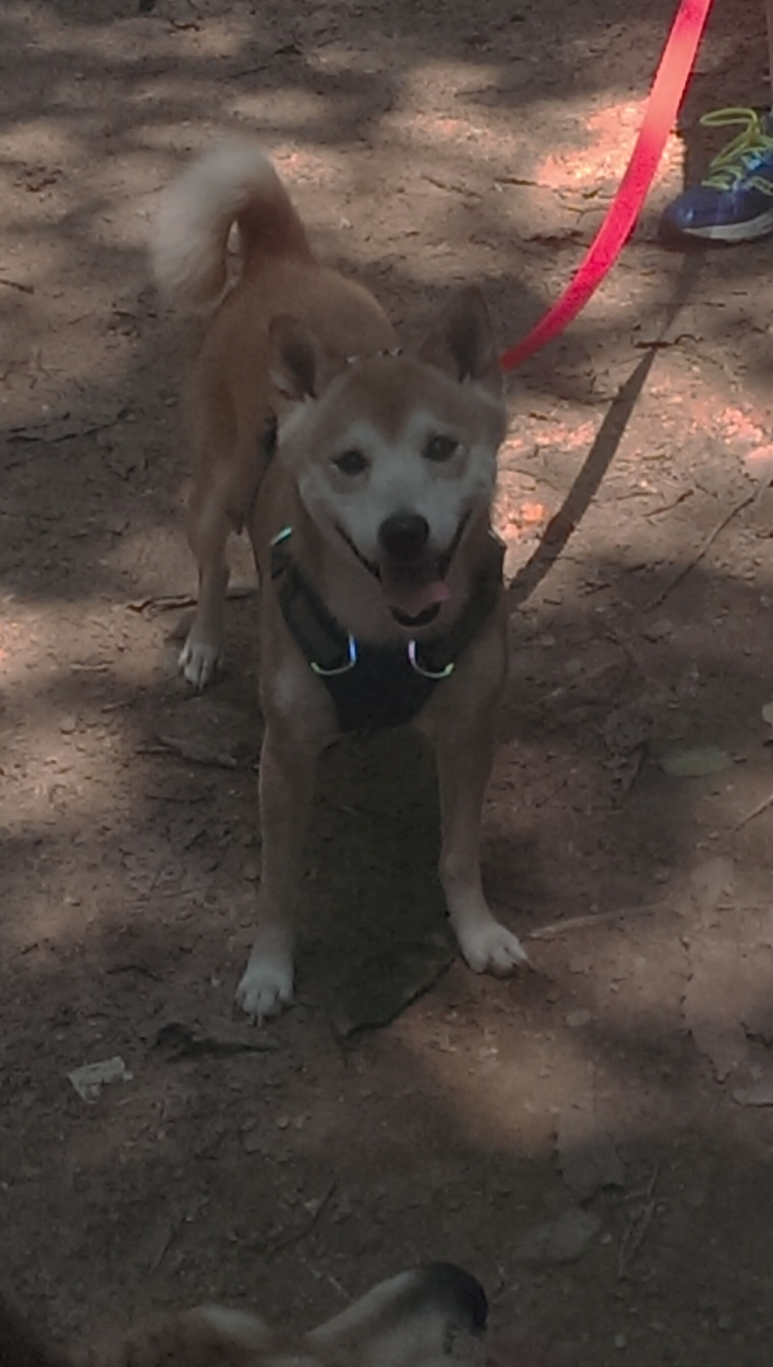 “武汉马拉松：选手们在赛道上创造历史”