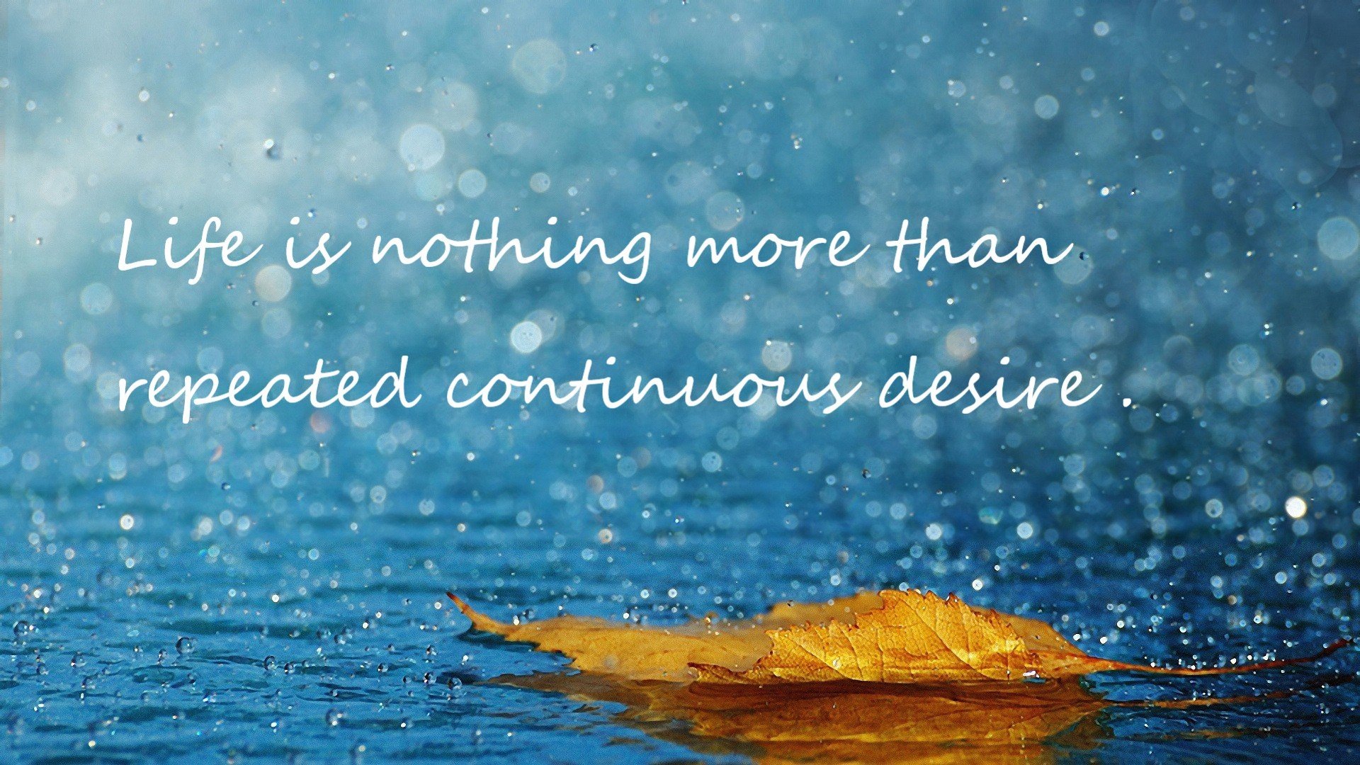 美国女队奖牌榜领跑，美国女队奖牌榜领跑是谁